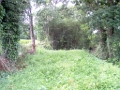 20110000 LA PAVÉE Pont-Farcy 15